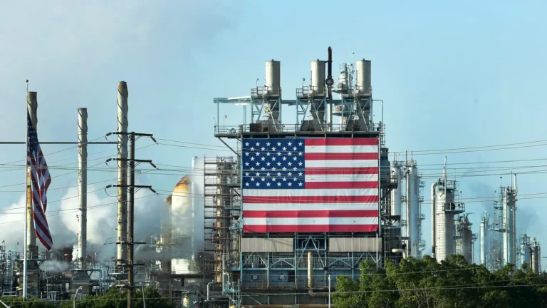 Oil fell despite optimistic forecasts
