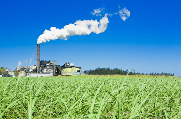 Australia’s sugar harvest at risk