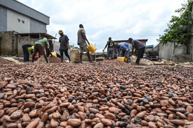Cocoa smuggling in Ghana: what’s happening?