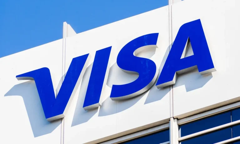 Visa stocks plummet: what happened?