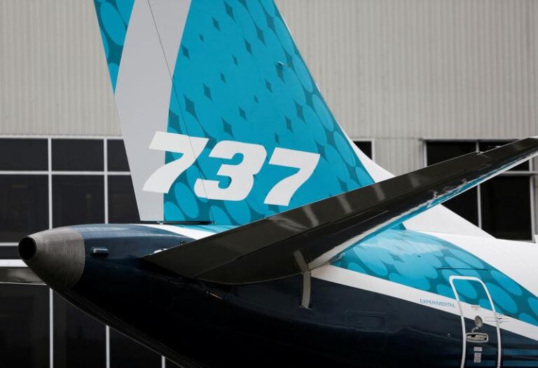 Перья птиц и кровь: загадочные находки в двигателях разбившегося Boeing в Южной Корее