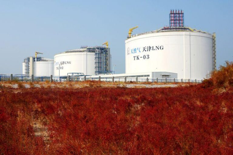 Япония рассматривает участие в проекте газопровода на Аляске для укрепления отношений с Трампом