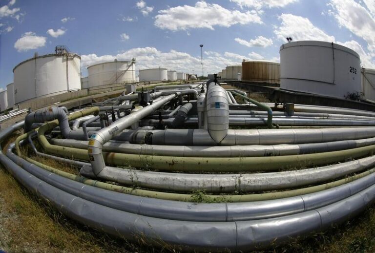 Американские нефтяные и биотопливные группы объединяются для увеличения мандатов на биоэнергию в новой администрации Трампа