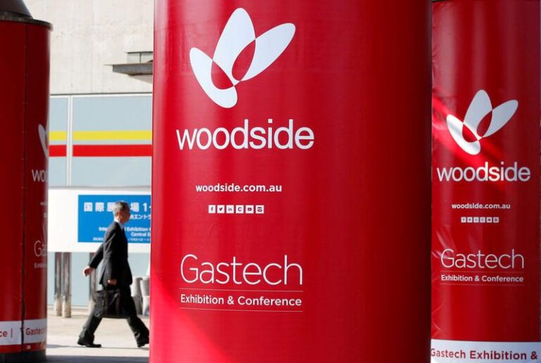 Woodside приостанавливает работы на проекте «Скарборо» после протестов Greenpeace